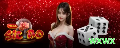 577 Master Casino App Screenshot 4 - 每句独立一行，巴西葡萄牙语自然流畅，带表情和wxwx标签。